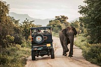 Tourism
